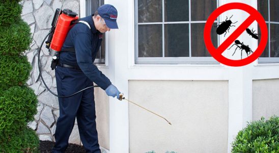 Silifke Bit İlaçlama böcek ilaçlama ve haşere kontrolü — ilaclama-tr.com